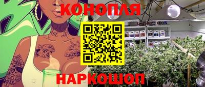винт Партизанск
