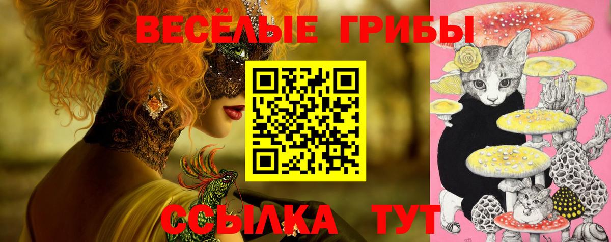 Пермь  Галлюциногенные грибы GOLDEN TEACHER  Псилоцибиновые грибы MAGIC MUSHROOMS  Вход с VPN 